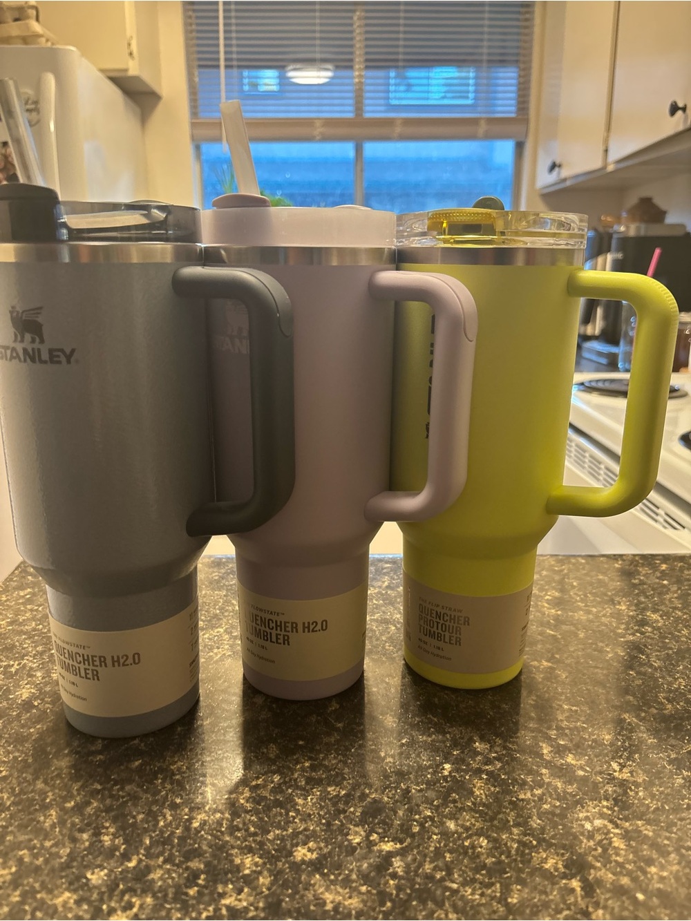 Stanley Travel Tumbler Trio in Gray, Lavender, Lime Green 40 oz